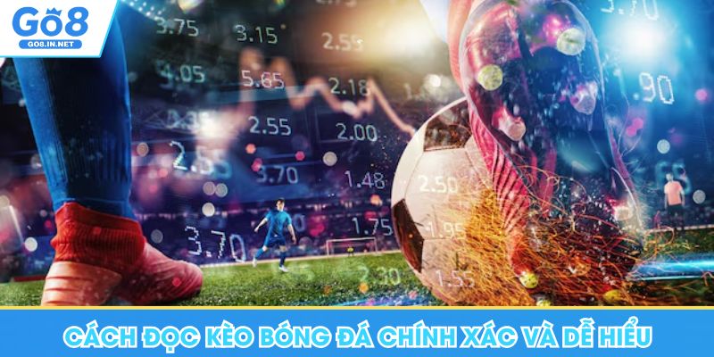 Cách đọc kèo bóng đá chính xác, dễ hiểu dành cho người mới tại Go8